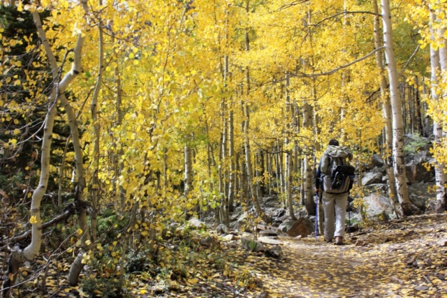 Buckskin Pass Trail