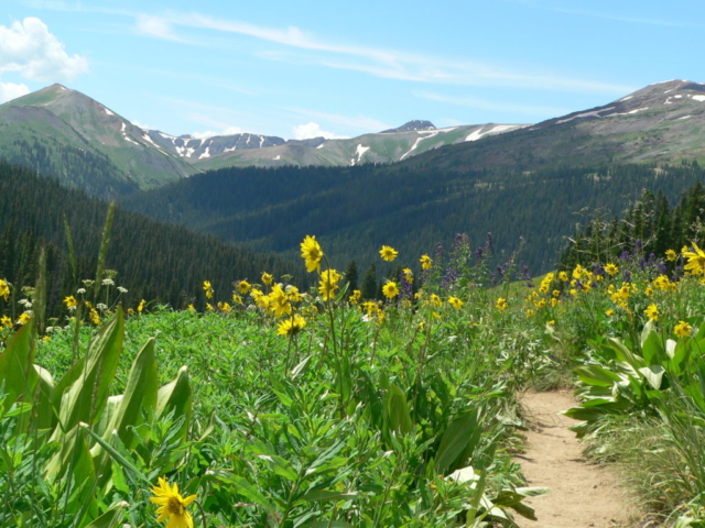 Mount Bellview, Frigid Air Pass Trail